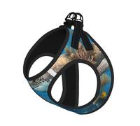 Large Pet Leash Vest Dog Harness - Small Sized Dolphins Sea Turtle Shark Octopus Coral Reef Print Leash Set with Buckle, Canine Companion Outdoor Travel Gear