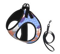 Large Pet Leash Vest Dog Harness - Small Sized, Rabbit Holding The Ball Print Adjustable for Cats and Dogs, Perfect for Outdoor Walking