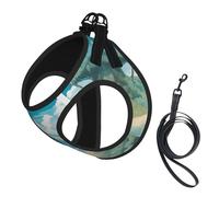 Large Pet Leash Vest Dog Harness - Small Sized Seashells on The Beach Print Leash Set with Buckle, Canine Companion Outdoor Travel Gear
