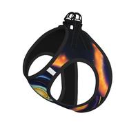 Large Pet Leash Vest Dog Harness - Small Sized Space Spiral Cosmic Energy Print Leash Set with Buckle, Canine Companion Outdoor Travel Gear