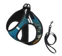 Large Pet Leash Vest Dog Harness - Small Sized Underwater Ocean View Print Leash Set with Buckle, Canine Companion Outdoor Travel Gear