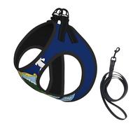 Large Pet Leash Vest & Dog Maine State Flag Print Harness Set â€“ Soft, Light, Breathable Mesh for Small Dogs & Cats