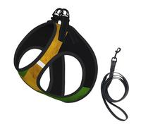 Large Pet Leash Vest & Dog Old Jamaican Flag Print Harness Set â€“ Soft, Light, Breathable Mesh for Small Dogs & Cats