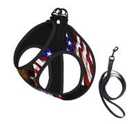 Large Pet Leash Vest & Dog USA Flag Patriotic Eagle Print Harness Set â€“ Soft, Light, Breathable Mesh for Small Dogs & Cats