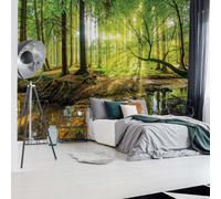 Large photo wallpaper wall mural 312x219 cm Green forest decor for living room