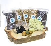 Large Plant Terrarium Kit for Succulent Plants and Cacti. Includes soil, gravel, moss, activated charcoal, decorative stones, step by step guide. Great Gift idea for Men and Women (Honey Gravel)