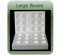 Large Polystyrene Egg Boxes, 12 Hole Design, Pack of 10, for Hatching and Incubation