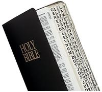 tabbies Large Print Catholic Goldtone-Edged Adhesive Old and New Testament Bible Indexing Tabs
