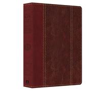 Large Print Study Bible-KJV: King James Version, Study, Red Letter Edition (KJV Study Bible)