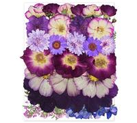 Large Purple Dried Pressed Flower for Crafts, Large Big Real Nature Dry Pressed Flowers for Resin Molds Candle Making Phone Cases DIY Art Crafts Jewelry Making