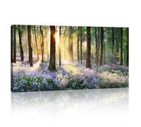 Large Purple Lavender Jungle Canvas Wall Art Prints, Abstract Sunshine Forest Landscape Wall Paintings Nature Picture for Living Room Bedroom Office Kitchen Decoration Artwork Ready To Hang 50x100cm