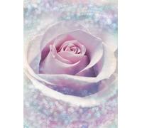 Large Purple Rose WALLPAPER mural floral beauty Studio wall decor Lilac flower