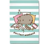 Large Pusheen Purrfect Weekend Blanket in White Turquoise 160 cm x 200 cm Super Soft Flannel Blanket Cuddly Blanket Sofa Blanket Coral Fleece Blanket The Sweet Cat Cute Cat Matches Bedding