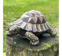 Large Realistic Tortoise Figurine Home Or Garden Decoration, Gift Boxed Animal Crackers Brown One Size