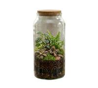 Large Recycled Glass Terrarium Bottle with Cork Lid, Half Open Design
