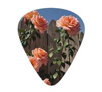 Large rose bush street fence guitar picks in three different thicknesses, suitable for electric guitar and band players