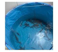 Large Round PVC Fish Pond Tank, Koi Goldfish Habitat - Easy Setup Backyard Pool for Garden & Aquatic Shelter
