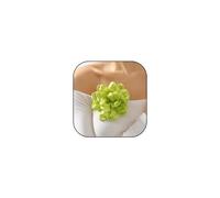 Large Satin Fabric Rose Flower Brooch Pin Big Silk Camellia Floral Suit Lapel Pins Jewelry for Women Girls Wedding Party Dance Dress Accessories, Silk, rhinestone