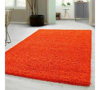 Large Shaggy Rugs for Living Room Soft Bedroom Carpet Runner for Hallways Thick Floor Mat (60 x 220 cm, Orange)
