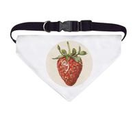 Large 'Single Strawberry' Dog/Cat/Pet Bandana (PD00064396)