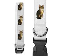 Large 'Sitting Tabby Cat' Dog Collar (PR00064610)