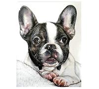 Large Size DIY 5D Diamond Painting kit Round Drill French Bulldog 25x30cm DIY Diamond Art Adults Full Drill Cross Stitch Picture Crystal Rhinestone Embroidery Painting Craft Home Wall Decor (10x12in)