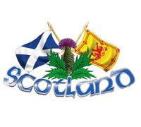 Large Size Scotland Thistle & Cross Flags