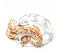 Large Snake Jungle Gym for Small and Medium Snakes, Reptile Climbing Frame and Enrichment Decor for Corn Snakes, Hognose Snakes, Juvenile Ball Pythons, Bearded Dragons, Chameleons and Geckos (White)