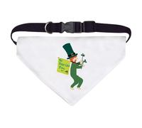 Large 'St Patrick's Day Leprechaun With His Flag' Dog/Cat/Pet Bandana (PD00060992)