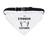 Large 'Stronger Today, Unbreakable Tomorrow' Dog/Cat/Pet Bandana (PD00057372)