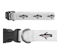 Large 'Swimming African Penguin' Dog Collar (PR00065012)