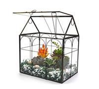 Large Tall Glass Plant Terrarium - Decorative House Glass Terrarium with Lid,Indoor Desk Tabletop Terrarium glass container for Orchid Succulent Cacti Fern Moss Housewarming Gift (Black 02)