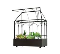 Large Tall Glass Succulent Terrarium with Rim and Tray for Plants 24 x 14 x 29 cm