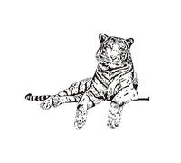 Large Tiger Wall Decal, Black and White Art Sticker, 60 cm x 46 cm, Modern Home Decor
