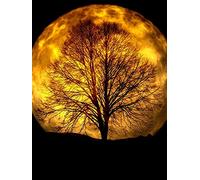 Large Tree and Moonlight Pattern Puzzle,Adult Puzzle,Paper Puzzle,2000 Piece Puzzle for Adults70x100cm