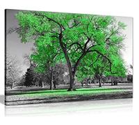 Large Tree Green Leaves Black White Nature Canvas Wall Art Picture Print Home Decor 31x20cm (12x8in)