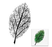 Large Tree Leaf Clear Stamps for Card Making Decoration DIY Scrapbooking, Plant Transparent Rubber Seal Stamps for Photo Card Album Crafting Supplies.