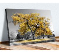 Large Tree Yellow Leaves Black White Canvas Wall Art Picture Print (24in x 16in / 60cm x 40cm)