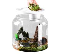 Large turtle deposit: transparent agriculture pool, spacious habitat | Cinebro with removable lid, turtle terrarium with aquatic space adapted to the house, pet shop, decorac