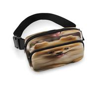 Large Waist Packs with Adjustable Strap,Cute Pomeranian Dog Crossbody Fanny Pack Casual Bag for Travel Sports Running Hiking