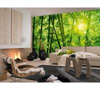 Large wall mural wallpaper 366x254cm (12' x 8'4") Green Bamboo forest
