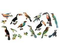 Large Wall Stickers Birds of Paradise Tucan Vintage Real Size Illustration Removable Real Size Vinyl Colorful Wall Decals