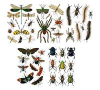 Large Wall Stickers Insects Spiders Bugs Fly Mosquito Dragonfly Vintage Real Size Illustration Removable Real Size Vinyl Colorful Wall Decals