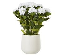 Sostter White Hydrangea Artificial Plant in Pot Sostter White