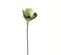 Hill Interiors Protea Protea Artificial Flower (One Size) (White)