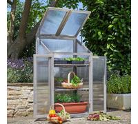 Large Wooden Gro-Zone Greenhouse With 3 Shelves - Germinate Seeds, Propagate Plants & Grow Exotic Fruit & Veg - H120 X W69 X D49Cm