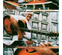 Larry Coryell - Cedars Of Avalon