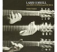 Larry Coryell John Scofield Joe Beck Jazz/Fusion Guitar NEW CD Tributaries
