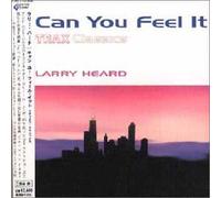 Larry Heard - Can You Feel It