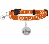 LARRYROO Cat Collar With DO NOT FEED Print - Soft Nylon & Safety Release Buckle - With Personalised Engraved Round Silver ID Tag with IM CHIPPED Print (Orange)
